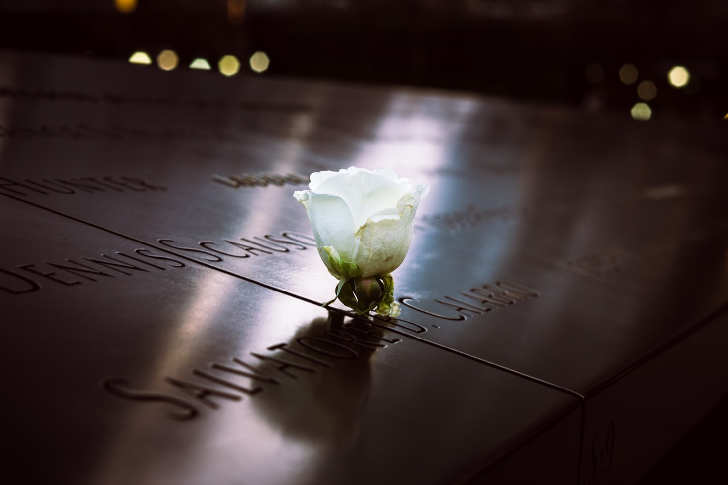 10 Unique Ways to Celebrate Their Memory